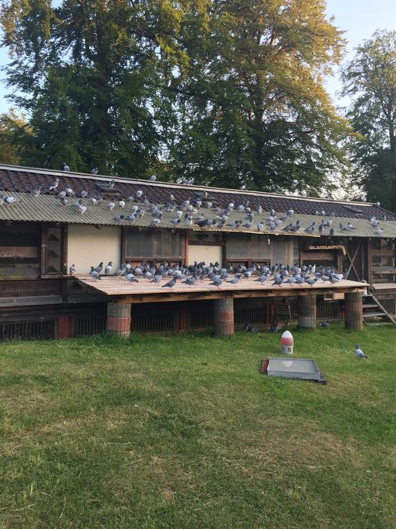 Hotel-Restaurant Johanniskreuz Trippstadt Bagian luar foto